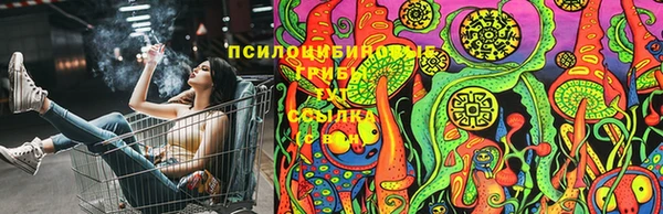 марки nbome Аркадак