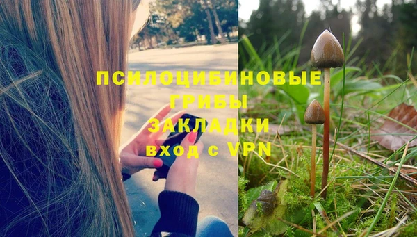 стафф Арсеньев