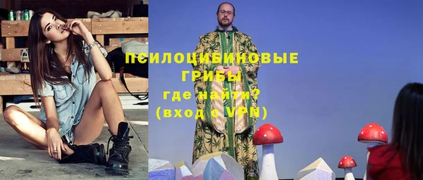 стафф Арсеньев